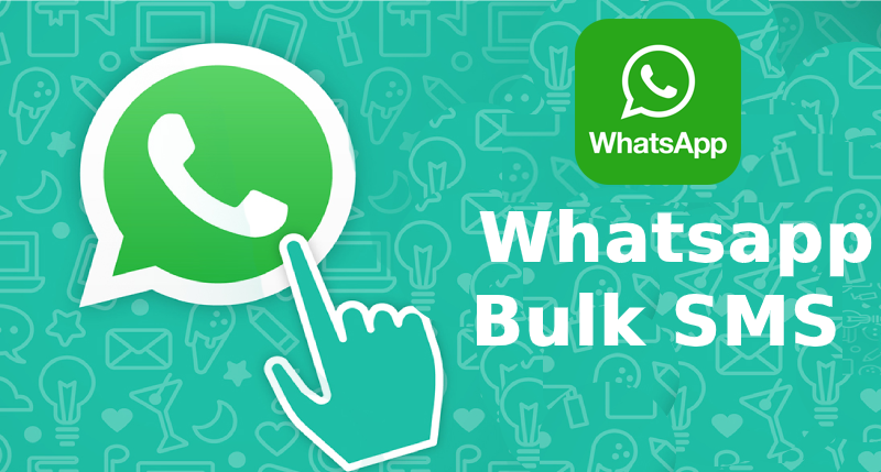 How to Use WhatsApp Bulk SMS for Business?