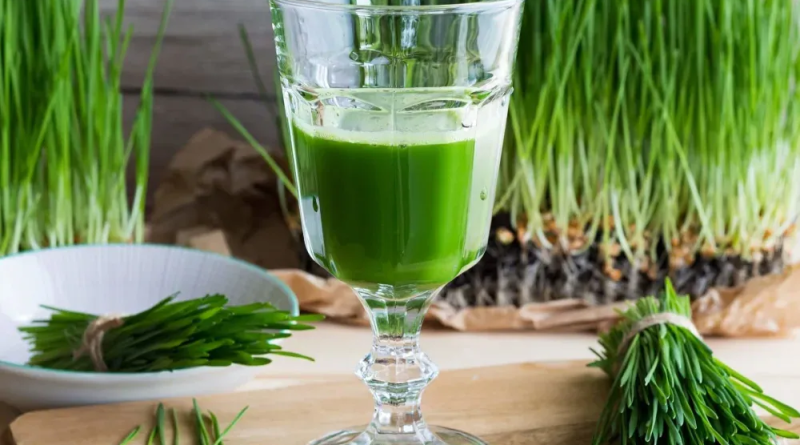 Wheatgrass Nutrition Facts and Health Benefits
