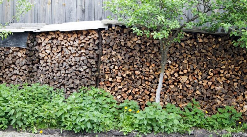 3 Key Benefits of Using Dry Birch Firewood in Your Home