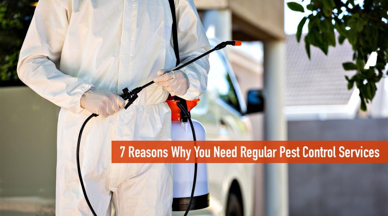 Reasons for You to Get Pest Control