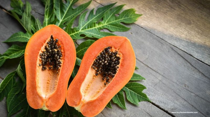 Thrilling 5 Well being Advantages of Papaya